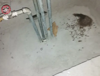 湘桥卫生间测漏水价格明细